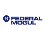 FEDERAL MOGUL: AE, GOETZE, NURAL